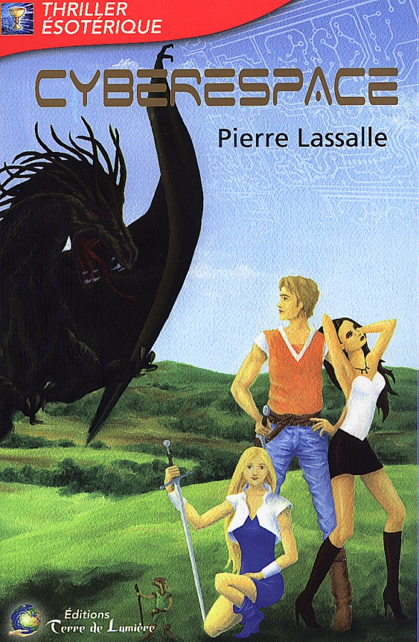Pierre Lassalle, Cyberespace